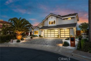 Single Family Residence, 303 Calle Paisano, San Clemente, CA  San Clemente, CA 92673