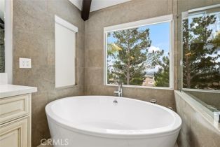 Single Family Residence, 534 Laureltree dr, Anaheim Hills, CA 92808 - 22