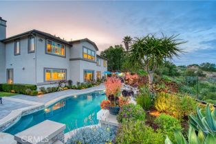 Single Family Residence, 32 Panorama, Coto De Caza, CA 92679 - 45