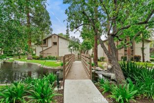 Residential Lease, 26701 Quail, Laguna Hills, CA  Laguna Hills, CA 92656