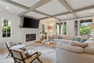 Single Family Residence, 6 Canyon Peak, Newport Coast, CA 92657 - 15