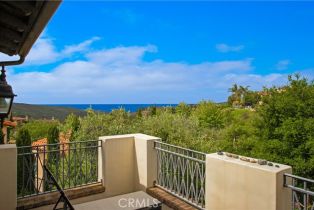 Single Family Residence, 6 Canyon Peak, Newport Coast, CA 92657 - 36