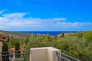 Single Family Residence, 6 Canyon Peak, Newport Coast, CA 92657 - 37