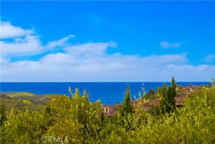 Single Family Residence, 6 Canyon Peak, Newport Coast, CA 92657 - 38