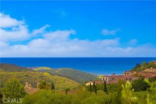 Single Family Residence, 6 Canyon Peak, Newport Coast, CA 92657 - 39