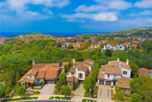 Single Family Residence, 6 Canyon Peak, Newport Coast, CA 92657 - 73