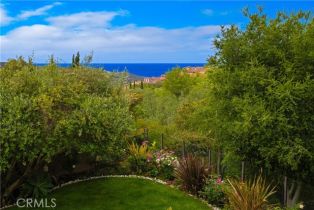 Single Family Residence, 6 Canyon Peak, Newport Coast, CA 92657 - 74