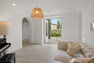 Single Family Residence, 6 Canyon Peak, Newport Coast, CA 92657 - 8