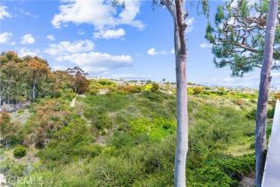 Single Family Residence, 2245 Avenida Salvador, San Clemente, CA 92672 - 44