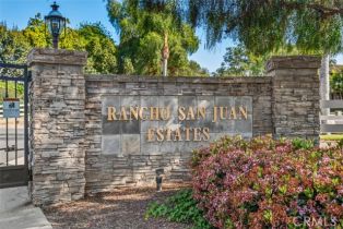 Single Family Residence, 31271 Via Fajita, San Juan Capistrano, CA 92675 - 18