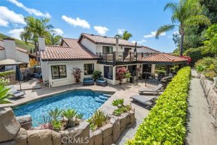 Single Family Residence, 28021 Camino Santo Domingo, San Juan Capistrano, CA 92675 - 54