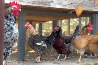 Single Family Residence, 27151 Mission Hills dr, San Juan Capistrano, CA 92675 - 24