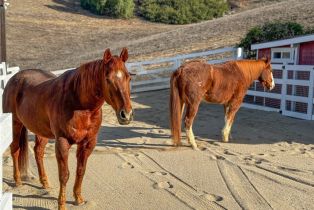 Single Family Residence, 27151 Mission Hills dr, San Juan Capistrano, CA 92675 - 29