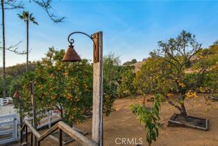 Single Family Residence, 27151 Mission Hills dr, San Juan Capistrano, CA 92675 - 31