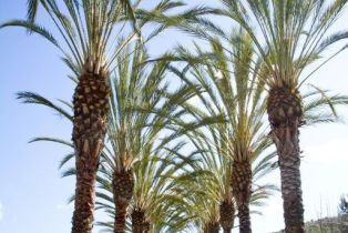 Single Family Residence, 6312 Camino Marinero, San Clemente, CA 92673 - 53