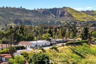Single Family Residence, 31303 Andres Pico rd, San Juan Capistrano, CA 92675 - 12