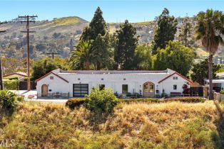 Single Family Residence, 31303 Andres Pico rd, San Juan Capistrano, CA 92675 - 46