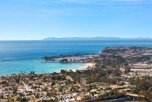 Single Family Residence, 31303 Andres Pico rd, San Juan Capistrano, CA 92675 - 61