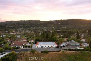 Single Family Residence, 31303 Andres Pico rd, San Juan Capistrano, CA 92675 - 9
