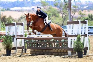 Single Family Residence, 30161 Outpost Road, San Juan Capistrano, CA 92675 - 43