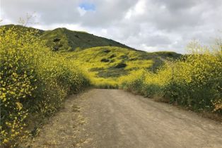 Single Family Residence, 30161 Outpost Road, San Juan Capistrano, CA 92675 - 46
