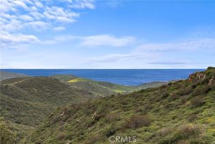 Single Family Residence, 27 Pacific Mist, Newport Coast, CA 92657 - 26