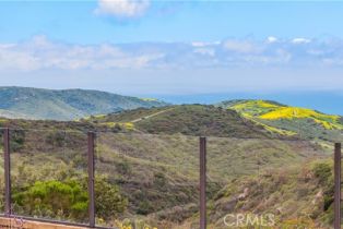 Single Family Residence, 27 Pacific Mist, Newport Coast, CA 92657 - 44