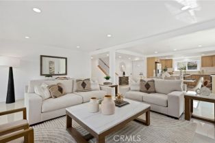 Single Family Residence, 25082 Ericson way, Laguna Hills, CA 92653 - 9