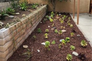 , 33801 Violet Lantern, Dana Point, CA 92629 - 18