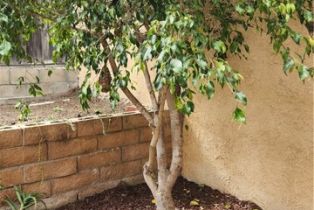 , 33801 Violet Lantern, Dana Point, CA 92629 - 21