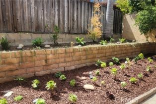 , 33801 Violet Lantern, Dana Point, CA 92629 - 23