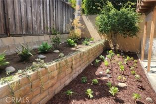 , 33801 Violet Lantern, Dana Point, CA 92629 - 24