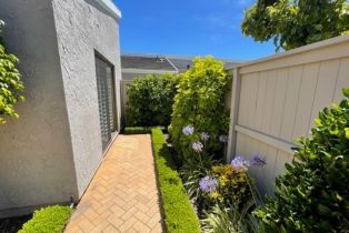 Single Family Residence, 31342 Cavallo ln, Laguna Niguel, CA 92677 - 8