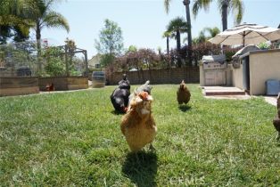 Single Family Residence, 29941 Imperial dr, San Juan Capistrano, CA 92675 - 10