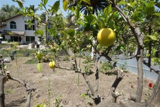 Single Family Residence, 29941 Imperial dr, San Juan Capistrano, CA 92675 - 11