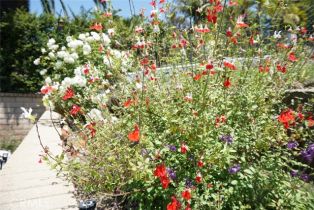 Single Family Residence, 29941 Imperial dr, San Juan Capistrano, CA 92675 - 4