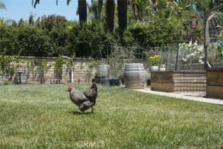 Single Family Residence, 29941 Imperial dr, San Juan Capistrano, CA 92675 - 6