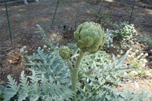 Single Family Residence, 29941 Imperial dr, San Juan Capistrano, CA 92675 - 7