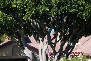 Condominium, 27345 Via Capri, San Juan Capistrano, CA 92675 - 45