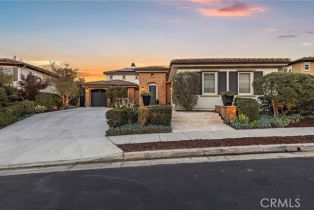 Single Family Residence, 31740 Via Pamplona, San Juan Capistrano, CA 92675 - 2