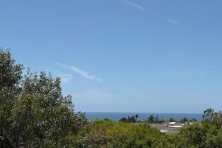 Single Family Residence, 35242 Vista De Todo, Dana Point, CA 92624 - 63