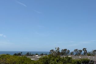 Single Family Residence, 35242 Vista De Todo, Dana Point, CA 92624 - 64