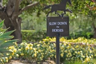 Single Family Residence, 28560 Martingale drive, San Juan Capistrano, CA 92675 - 64