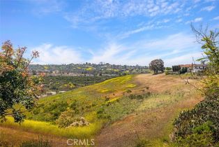 Single Family Residence, 24132 Snipe ln, Laguna Niguel, CA 92677 - 35
