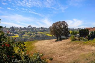 Single Family Residence, 24132 Snipe ln, Laguna Niguel, CA 92677 - 8