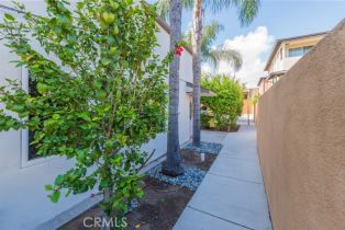 , 34352 Pacific Coast hwy, Dana Point, CA 92629 - 15