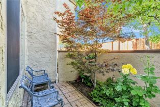 Condominium, 762 Dragonfly ct, San Jose, CA 95133 - 31