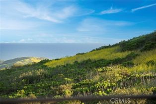 Single Family Residence, 30 Seawatch, Newport Coast, CA 92657 - 43