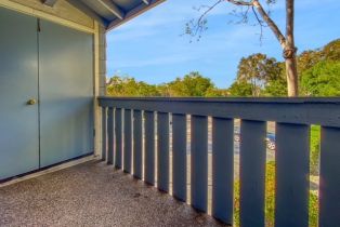 Condominium, 25611 Quail run, Dana Point, CA 92629 - 15