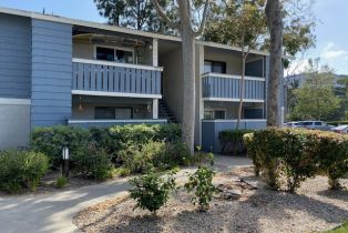 Residential Lease, 25611 Quail RUN, Dana Point, CA  Dana Point, CA 92629